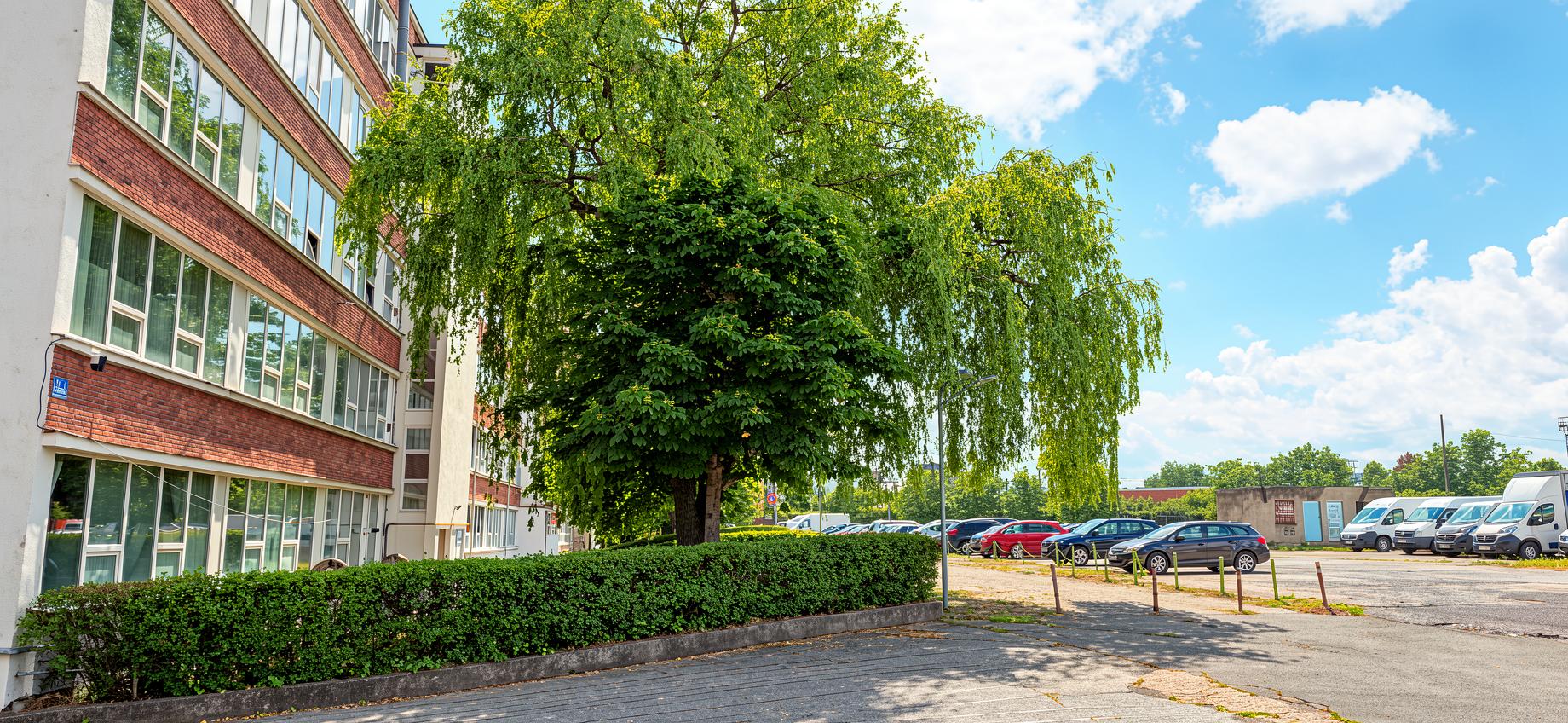 invest-e Building - Str. Turnului 25, Brașov